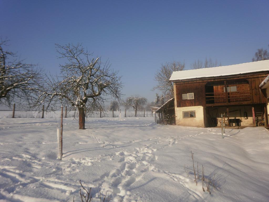 Familiehuis Fuchs Horni Branna Exterior foto